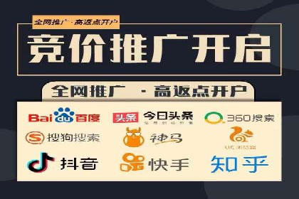 专业SEM托管助力企业快速成长案例分析